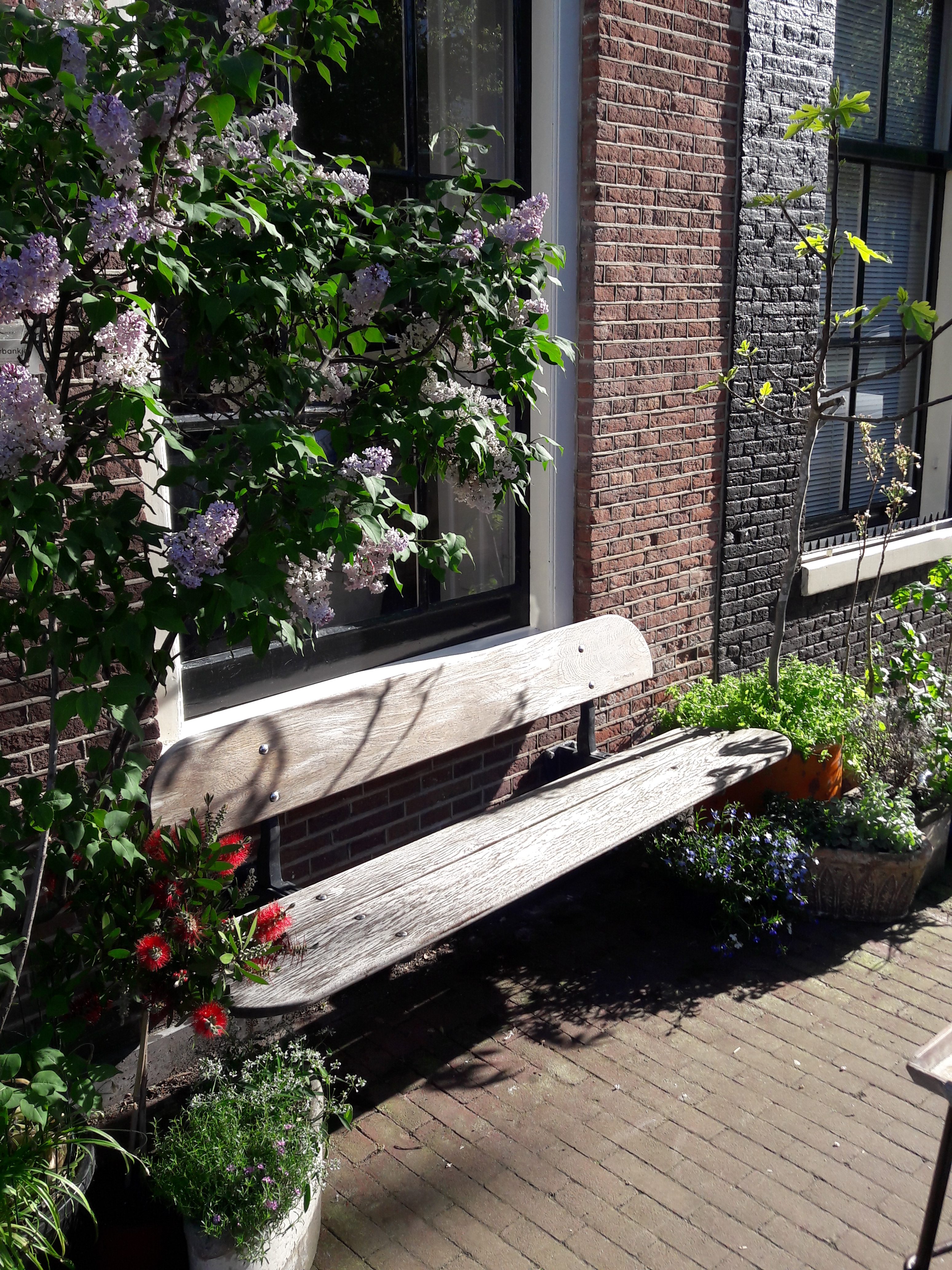 vergrijst Amsterbankje tussen bloemen op de Palmgracht, Amsterdam